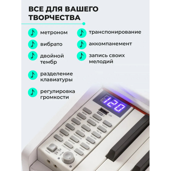 Купить Синтезатор AIWA ASZ-88W-6.jpg